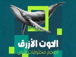 خط لانتكس Lantx