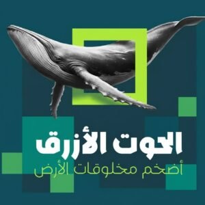 خط لانتكس Lantx