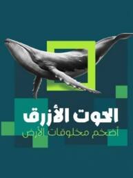 خط لانتكس Lantx