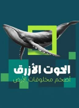 خط لانتكس Lantx