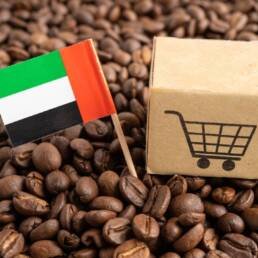 كيف تبدأ متجر إلكتروني في الإمارات: الدليل الشامل 2026